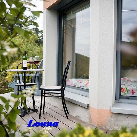Appartements 5 Personnes Maya Et Louna Ксорюпт-Лонжме Экстерьер фото